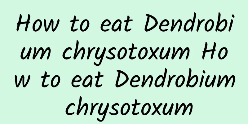 How to eat Dendrobium chrysotoxum How to eat Dendrobium chrysotoxum