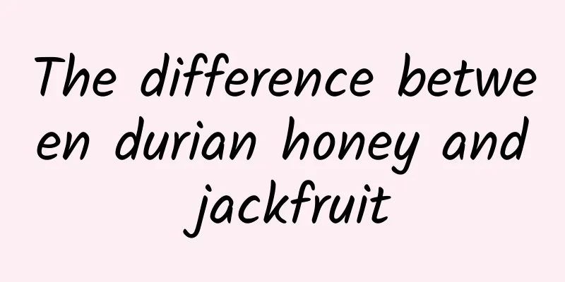 The difference between durian honey and jackfruit