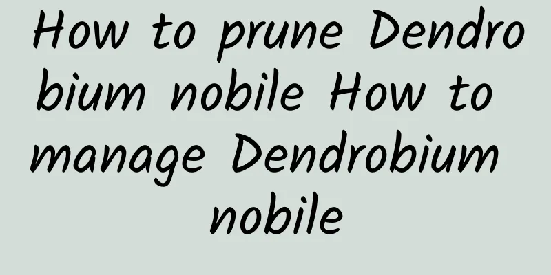 How to prune Dendrobium nobile How to manage Dendrobium nobile