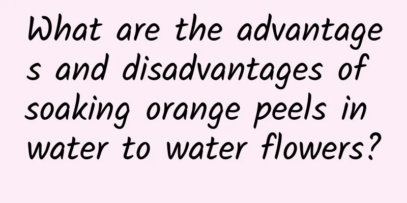 What are the advantages and disadvantages of soaking orange peels in water to water flowers?