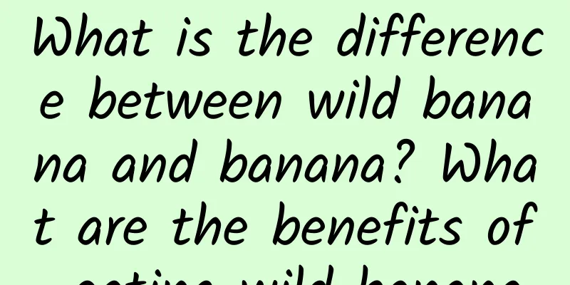 What is the difference between wild banana and banana? What are the benefits of eating wild banana