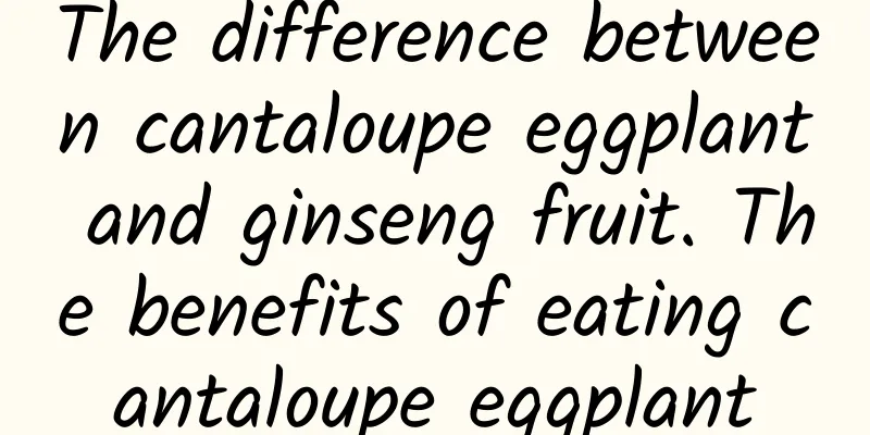 The difference between cantaloupe eggplant and ginseng fruit. The benefits of eating cantaloupe eggplant