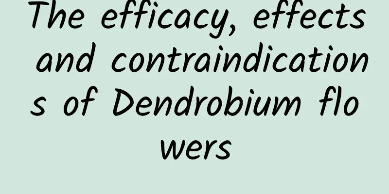 The efficacy, effects and contraindications of Dendrobium flowers