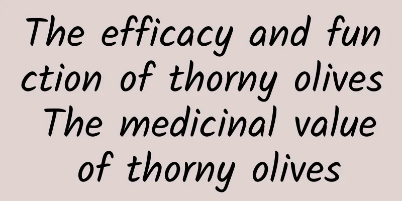 The efficacy and function of thorny olives The medicinal value of thorny olives