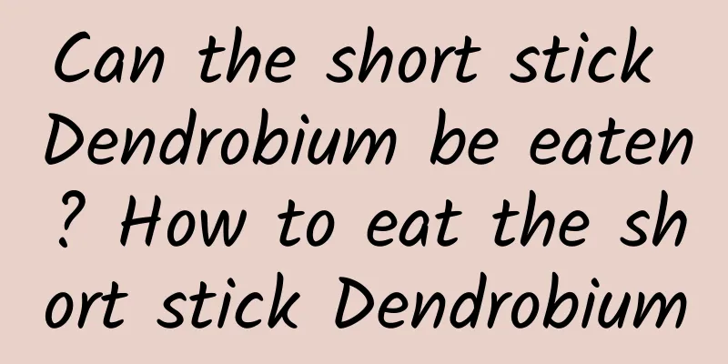 Can the short stick Dendrobium be eaten? How to eat the short stick Dendrobium