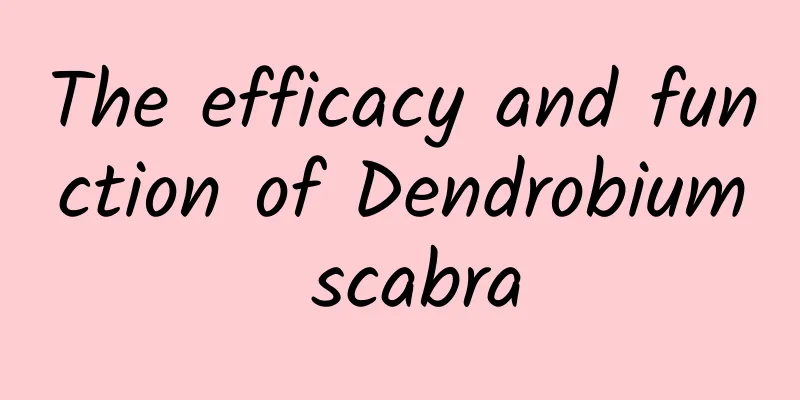 The efficacy and function of Dendrobium scabra