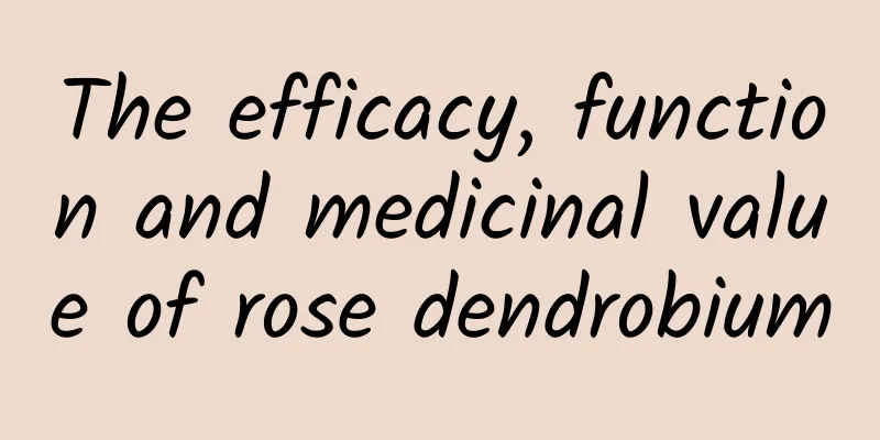 The efficacy, function and medicinal value of rose dendrobium