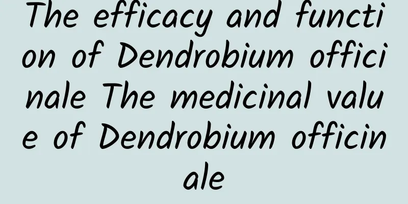 The efficacy and function of Dendrobium officinale The medicinal value of Dendrobium officinale