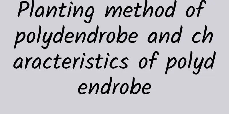 Planting method of polydendrobe and characteristics of polydendrobe