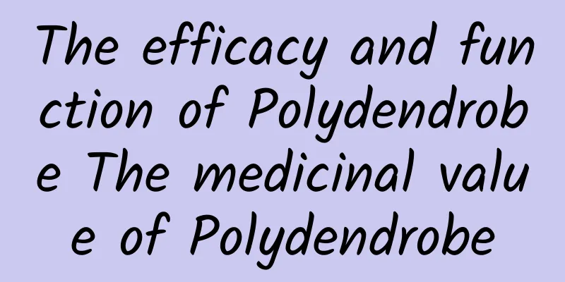 The efficacy and function of Polydendrobe The medicinal value of Polydendrobe