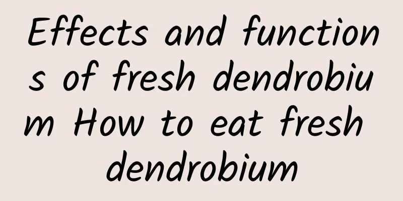 Effects and functions of fresh dendrobium How to eat fresh dendrobium