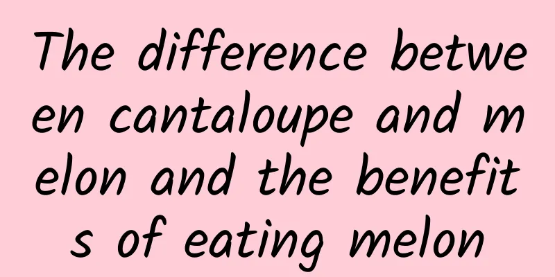 The difference between cantaloupe and melon and the benefits of eating melon