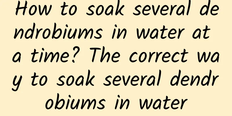 How to soak several dendrobiums in water at a time? The correct way to soak several dendrobiums in water