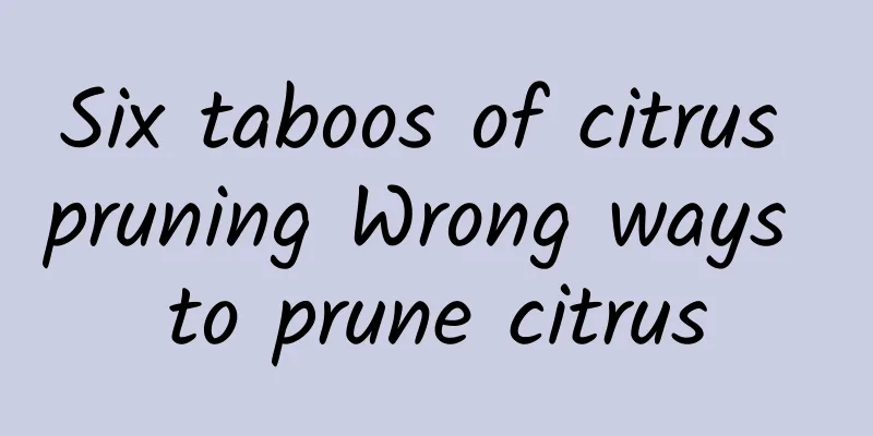 Six taboos of citrus pruning Wrong ways to prune citrus