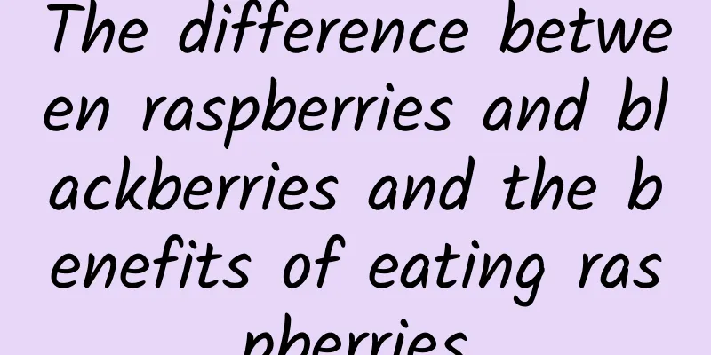 The difference between raspberries and blackberries and the benefits of eating raspberries