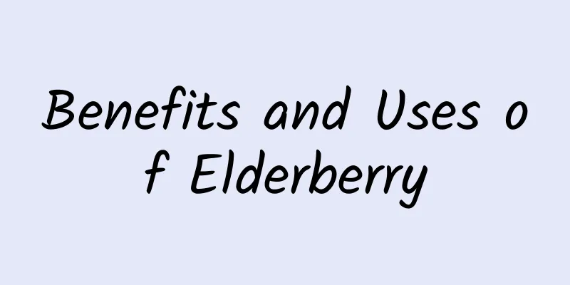 Benefits and Uses of Elderberry