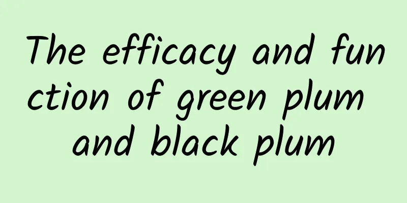 The efficacy and function of green plum and black plum