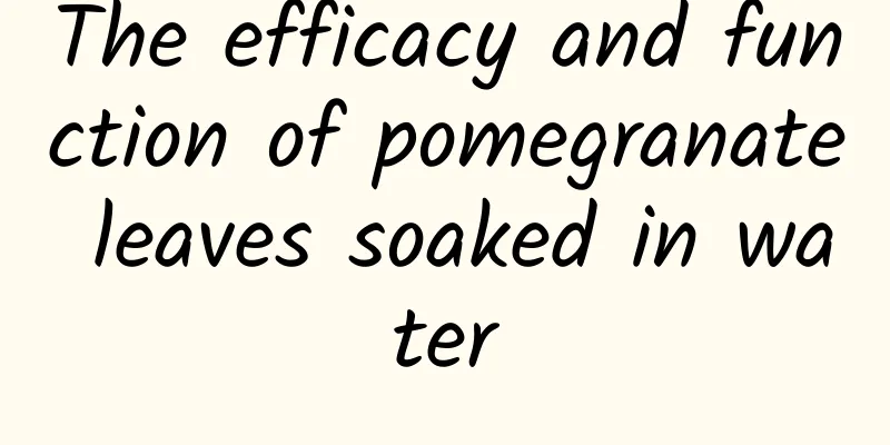 The efficacy and function of pomegranate leaves soaked in water