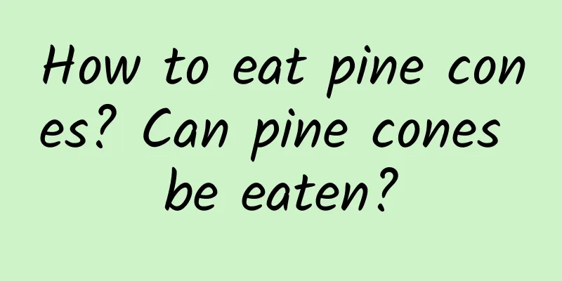 How to eat pine cones? Can pine cones be eaten?