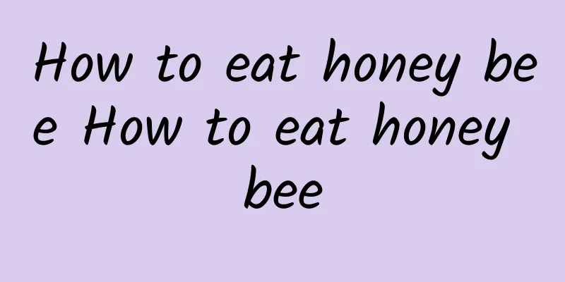 How to eat honey bee How to eat honey bee