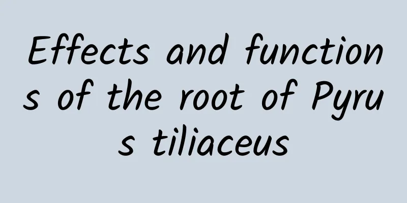 Effects and functions of the root of Pyrus tiliaceus