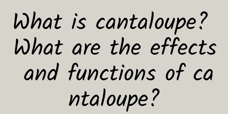 What is cantaloupe? What are the effects and functions of cantaloupe?