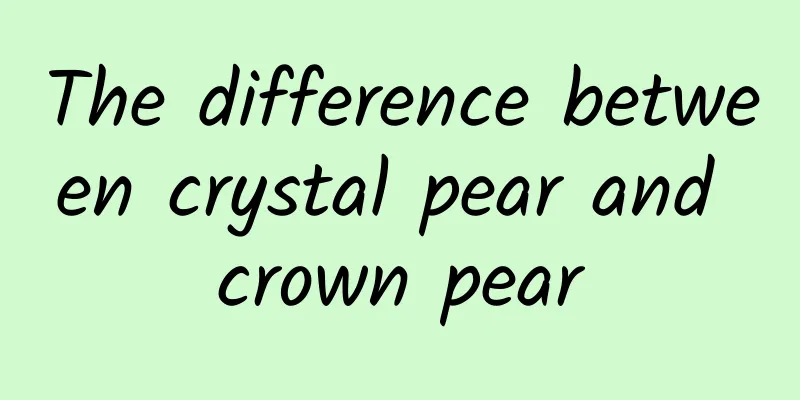 The difference between crystal pear and crown pear