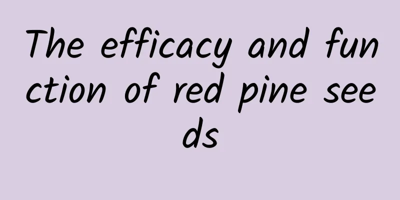 The efficacy and function of red pine seeds