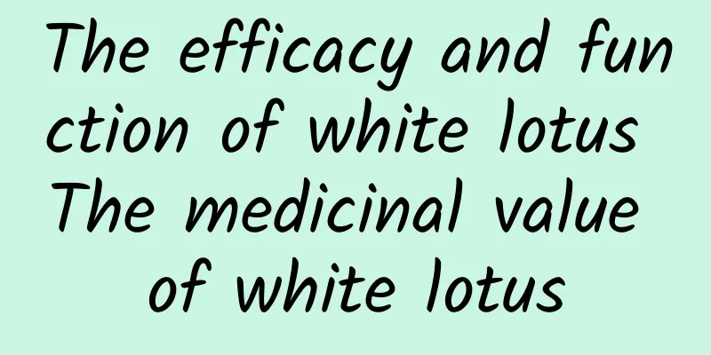 The efficacy and function of white lotus The medicinal value of white lotus