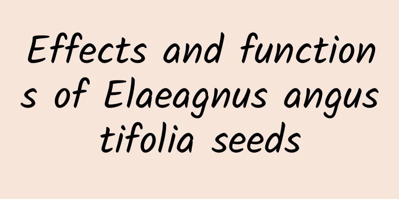 Effects and functions of Elaeagnus angustifolia seeds