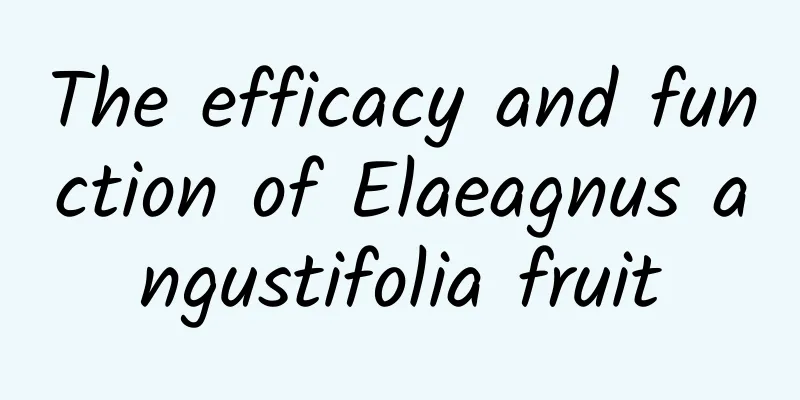 The efficacy and function of Elaeagnus angustifolia fruit