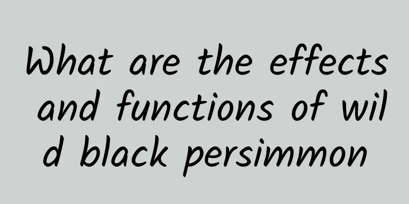 What are the effects and functions of wild black persimmon