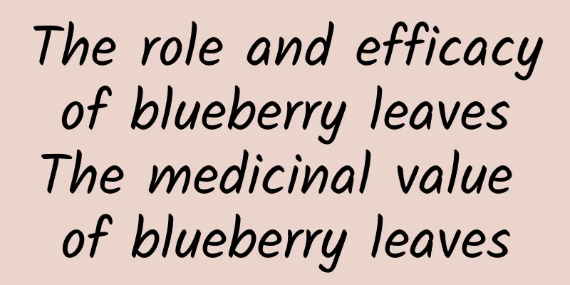 The role and efficacy of blueberry leaves The medicinal value of blueberry leaves