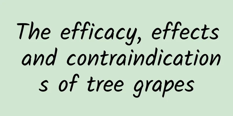 The efficacy, effects and contraindications of tree grapes