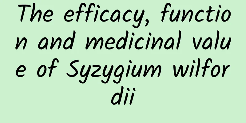 The efficacy, function and medicinal value of Syzygium wilfordii