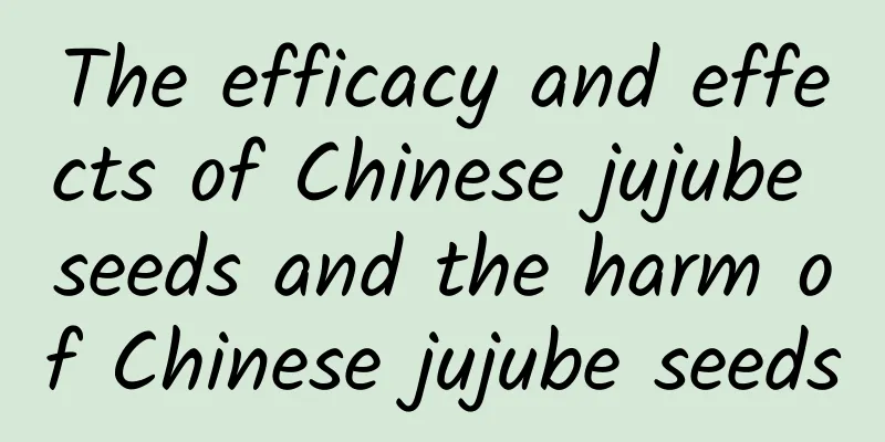 The efficacy and effects of Chinese jujube seeds and the harm of Chinese jujube seeds