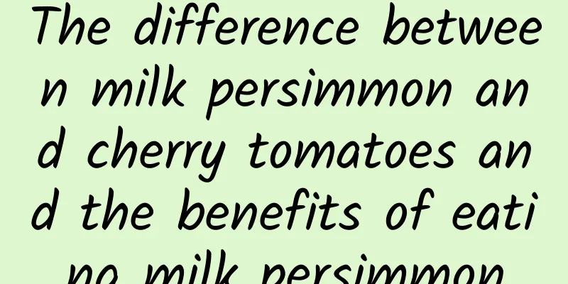 The difference between milk persimmon and cherry tomatoes and the benefits of eating milk persimmon