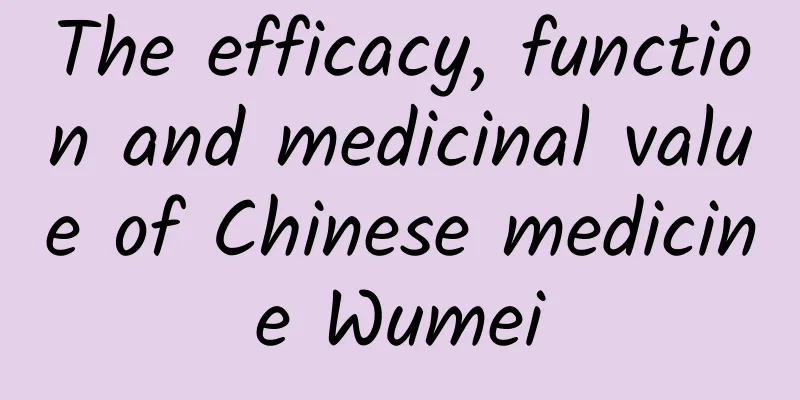 The efficacy, function and medicinal value of Chinese medicine Wumei