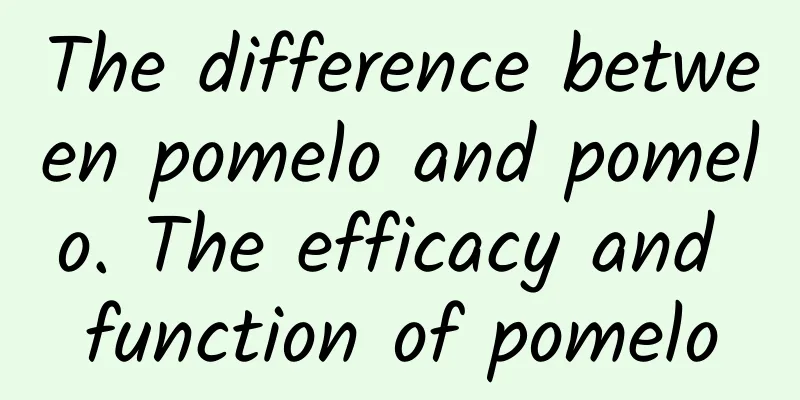 The difference between pomelo and pomelo. The efficacy and function of pomelo