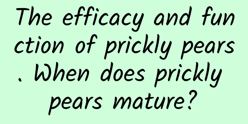 The efficacy and function of prickly pears. When does prickly pears mature?