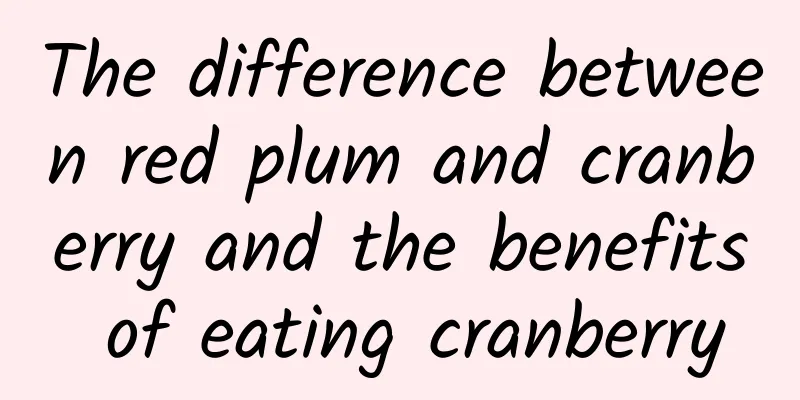 The difference between red plum and cranberry and the benefits of eating cranberry