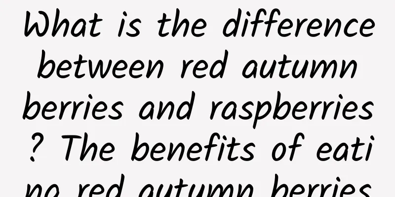 What is the difference between red autumn berries and raspberries? The benefits of eating red autumn berries