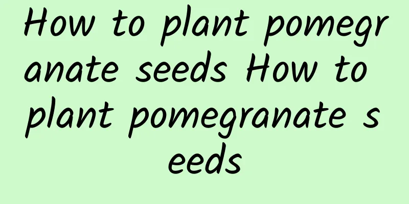 How to plant pomegranate seeds How to plant pomegranate seeds