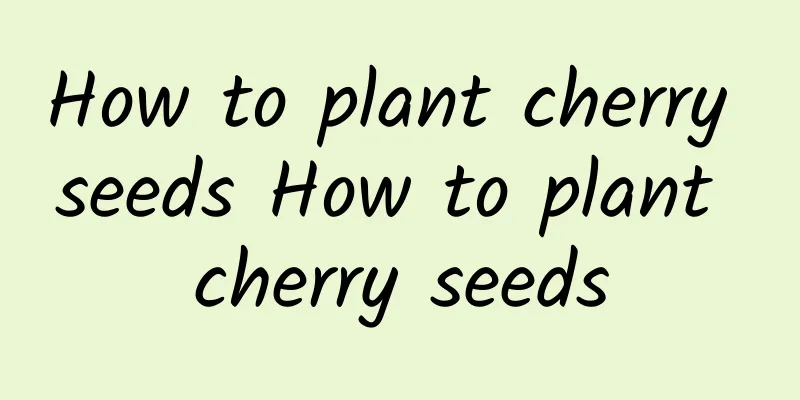 How to plant cherry seeds How to plant cherry seeds