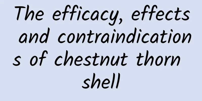 The efficacy, effects and contraindications of chestnut thorn shell