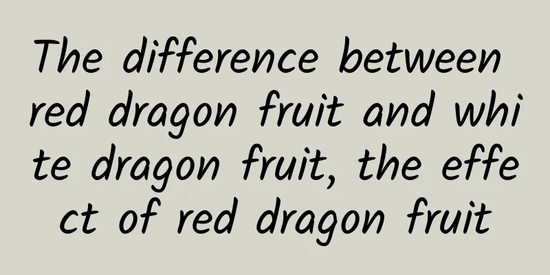 The difference between red dragon fruit and white dragon fruit, the effect of red dragon fruit