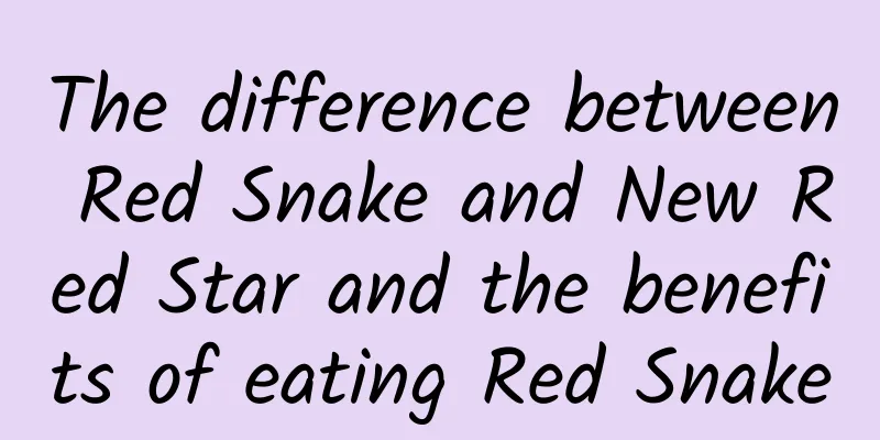 The difference between Red Snake and New Red Star and the benefits of eating Red Snake