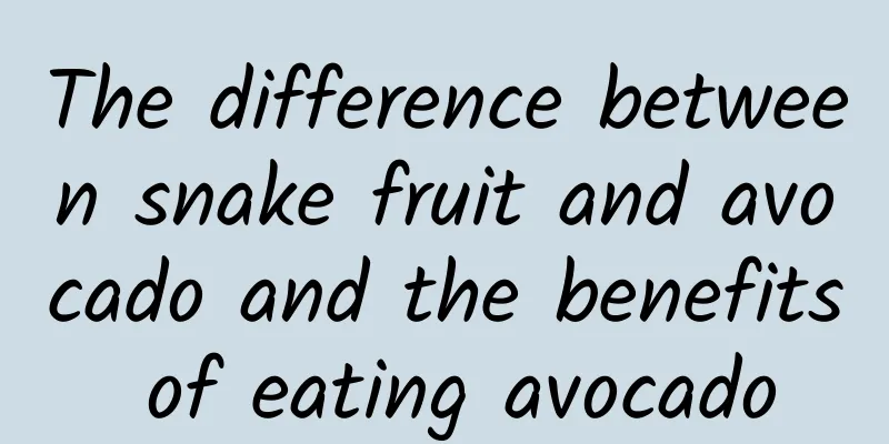 The difference between snake fruit and avocado and the benefits of eating avocado