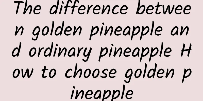 The difference between golden pineapple and ordinary pineapple How to choose golden pineapple