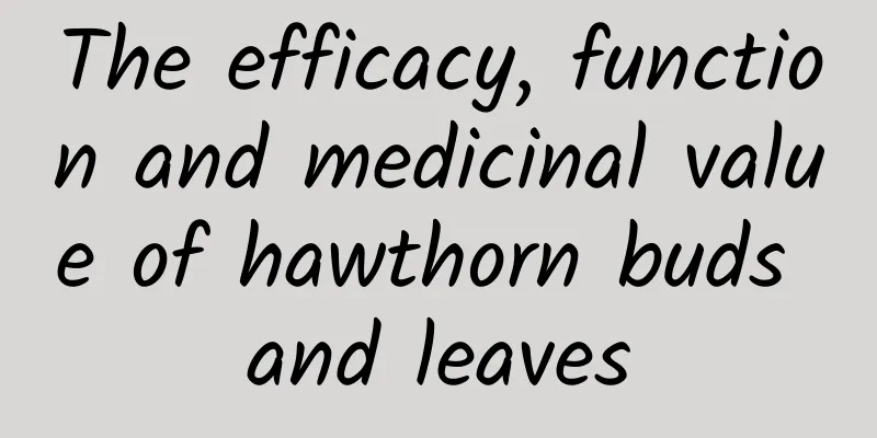 The efficacy, function and medicinal value of hawthorn buds and leaves